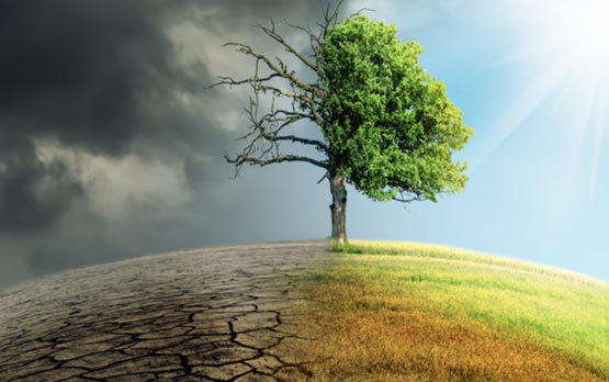 Environment Conditions